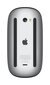 Apple Magic Mouse - Black Multi-Touch Surface - MMMQ3ZM/A цена и информация | Arvutihiired | hansapost.ee
