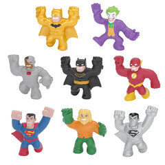 Minifiguuride komplekt Heroes Of Goo Jit Zu DC, 8 tk. hind ja info | Goo Jit Zu Lastekaubad ja beebikaubad | hansapost.ee