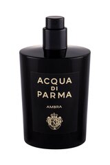 Парфюмированная вода Acqua Di Parma Ambra EDP для женщин и мужчин, 100 мл, Tester цена и информация | Женские духи | hansapost.ee