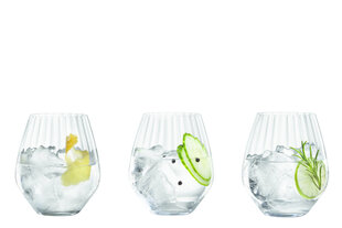 Spiegelau Gin&Tonic klaaside komplekt 625ml, 4 tk hind ja info | Klaasid, kruusid ja kannud | hansapost.ee