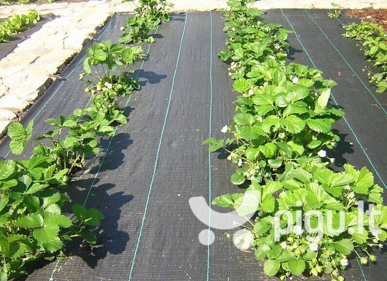 Umbrohuvastane agrokile 1.0x10, 110 g/m2, must цена и информация | Aiatööriistad | hansapost.ee