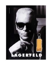 Tualettvesi Karl Lagerfeld Classic EDT meestele 50 ml price and information | Parfüümid meestele | hansapost.ee