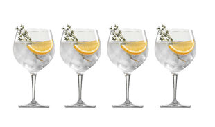 Spiegelau Gin & Tonic klaasid, 4 tk hind ja info | Klaasid, kruusid ja kannud | hansapost.ee