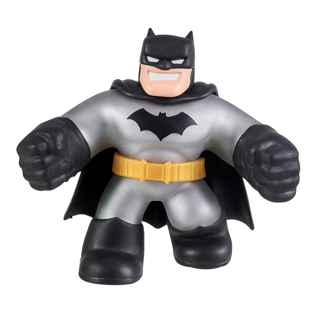 Minifiguurikomplekt Batman vs. Ridler Heroes Of Goo Jit Zu DC, 2 tk цена и информация | Mänguasjad poistele | hansapost.ee