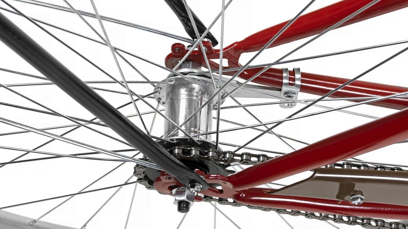 Linnajalgratas AZIMUT City Lux 26" 2021, punane hind ja info | Jalgrattad | hansapost.ee