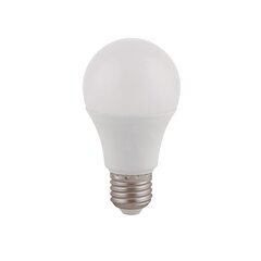 Светодиодная лампа Eurolight Havana A60 E27 9W/3000K цена и информация | Электрические лампы | hansapost.ee