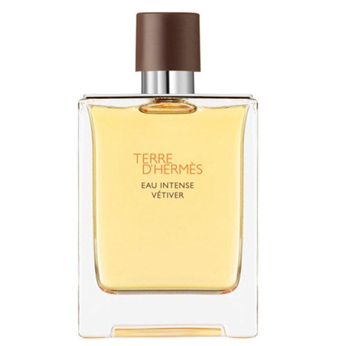 Parfüümvesi Hermes Terre d'Hermes Intense Vetiver EDP meestele 50 ml hind ja info | Parfüümid meestele | hansapost.ee