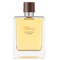 Parfüümvesi Hermes Terre d'Hermes Intense Vetiver EDP meestele 50 ml hind ja info | Parfüümid meestele | hansapost.ee