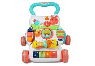 Beebiliugur interaktiivse mikrofoniga price and information | Toys for babies | hansapost.ee