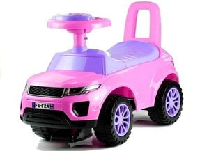 Pealeistumisauto 613W, roosa price and information | Toys for babies | hansapost.ee