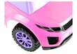 Pealeistumisauto 613W, roosa цена и информация | Beebide mänguasjad | hansapost.ee