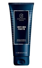 Dušigeel-šampoon meestele Collistar Vetiver Forte 250 ml hind ja info | Dušigeelid, õlid | hansapost.ee