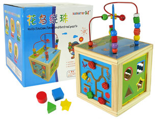 Большой образовательный куб - лабиринт цена и информация | Игрушки для малышей | hansapost.ee