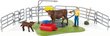 Kujukeste komplekt Lehmade pesutsooni Schleich Farm World, 42529 hind ja info | Mänguasjad poistele | hansapost.ee