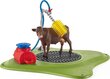 Kujukeste komplekt Lehmade pesutsooni Schleich Farm World, 42529 цена и информация | Mänguasjad poistele | hansapost.ee