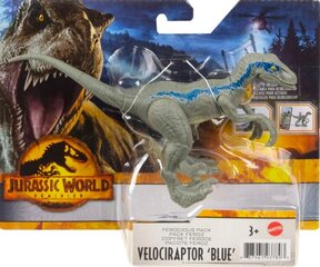 Dinosaurus Jurassic World, HDX18 цена и информация | Игрушки для мальчиков | hansapost.ee