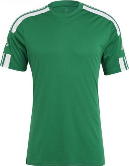 Meeste jalgpallisärk Adidas Squadra 21 JSY GN5721, roheline hind ja info | Jalgpalli varustus ja riided | hansapost.ee