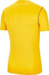 Meeste T-särk Nike Training Top BV6883 719 BV6883 719, kollane hind ja info | Spordiriided meestele | hansapost.ee