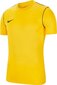 Meeste T-särk Nike Training Top BV6883 719 BV6883 719, kollane цена и информация | Spordiriided meestele | hansapost.ee