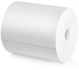 WEPA Industrial roll paper for hands RPMB2525, 2pcs, 525m, 1500 sheets, 23 x 35 hind ja info | WC-paber ja majapidamispaber | hansapost.ee