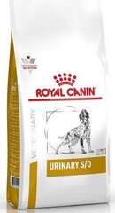 Royal Canin neeruprobleemidega Dog Urinary S/O, 13 kg цена и информация | Сухой корм для собак | hansapost.ee