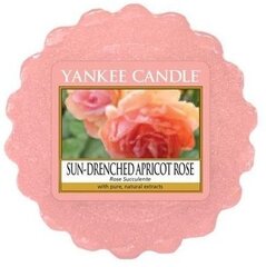 Lõhnav vaha Yankee Candle Sun-Drenched Apricot Rose 22 g hind ja info | Küünlad, küünlajalad | hansapost.ee