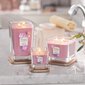 Lõhnaküünal Yankee Candle Sugared Wildflowers 347g цена и информация | Küünlad, küünlajalad | hansapost.ee