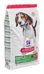 Kuivtoit kutsikatele Hill's Science Plan Puppy Medium lambaliha ja riisiga, 14 kg price and information | Dry dog food and crisps | hansapost.ee