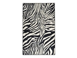 Vaip Zebra, 160x230 cm hind ja info | Vaibad | hansapost.ee