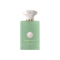 Parfüümvesi Amouage Meander EDP naistele/meestele, 100 ml hind ja info | Parfüümid naistele | hansapost.ee