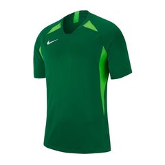 Футболка мужская Nike, зеленая цена и информация | Мужская спортивная одежда | hansapost.ee