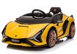 Ühekohaline laste elektriauto Lamborghini Sian, kollane цена и информация | Laste elektriautod | hansapost.ee