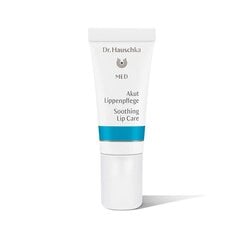 Dr. Hauschka Huulepalsam – (huulehooldus) 5 ml price and information | Lip cosmetics | hansapost.ee