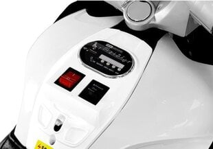 Электрический детский мотоцикл YSA021A, бело-черный цена и информация | Электромобили для детей | hansapost.ee