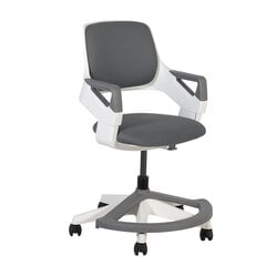 Компьютерное кресло Rookee, серое цена и информация | Офисные кресла | hansapost.ee