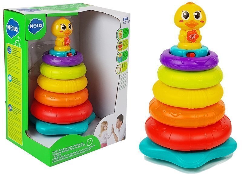 Interaktiivne värviliste rõngastega püramiid hind ja info | Beebide mänguasjad | hansapost.ee