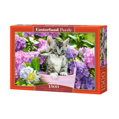 Puzzle 1500 elements Kitten in Basket hind ja info | Pusled lastele ja täiskasvanutele | hansapost.ee