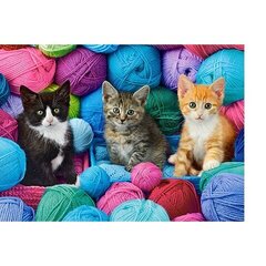 Puzzle 300 pieces Kittens in Yarn hind ja info | Pusled lastele ja täiskasvanutele | hansapost.ee