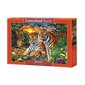 Puzzle 2000 pieces Family of tigers hind ja info | Pusled lastele ja täiskasvanutele | hansapost.ee