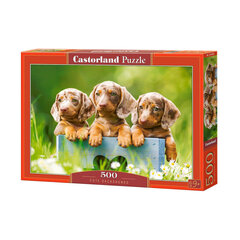 Puzzle 500 pieces Puppies adorable dachshunds hind ja info | Pusled lastele ja täiskasvanutele | hansapost.ee