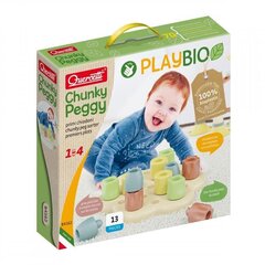 Мозаика Quercetti Play Bio Chunky Peggy 84162, 13 д. цена и информация | Quercetti Товары для детей и младенцев | hansapost.ee