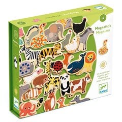 Puidust magnetid - Magnimo (36 osa), Djeco, DJ03124 price and information | Educational children's toys | hansapost.ee