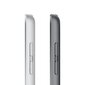 Apple iPad 10.2" Wi-Fi 64GB - Silver 9th Gen MK2L3HC/A цена и информация | Tahvelarvutid | hansapost.ee