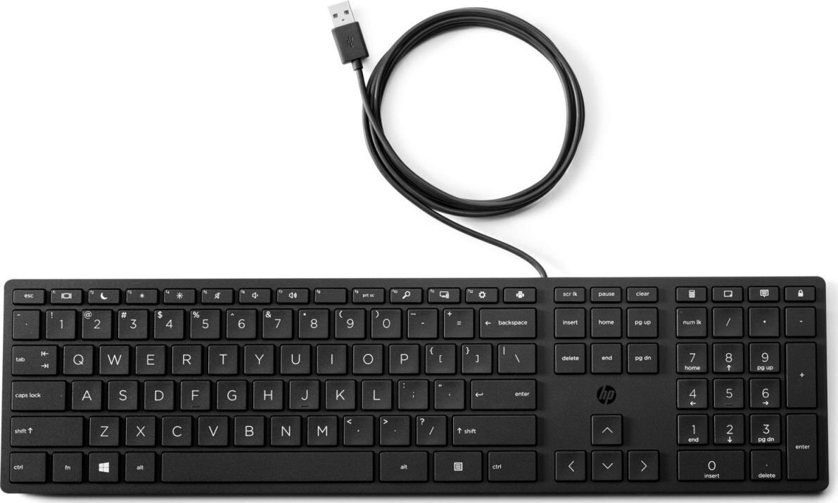 HP Desktop 320K - Keyboard - USB - QWERTY - English 9SR37AA#ABB цена и информация | Klaviatuurid | hansapost.ee
