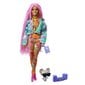 Barbie® Extra nukk - Pink Braids GXF09 цена и информация | Mänguasjad tüdrukutele | hansapost.ee