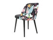 2-tooli komplekt BRW Aka, erinevad värvid hind ja info | Köögitoolid, söögitoolid | hansapost.ee