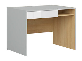 Письменный стол BRW Nandu BIU1S, серый/коричневый цена и информация | Black Red White Офисная мебель | hansapost.ee
