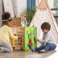 Деревянный куб активности - сортировщик Viga цена и информация | Игрушки для малышей | hansapost.ee