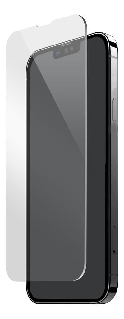 Deltaco kaitseklaas Apple iPhone 13 Mini цена и информация | Ekraani kaitseklaasid ja kaitsekiled | hansapost.ee