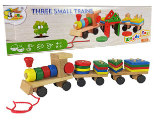 Puidust järelveetav rong-sorteerija hind ja info | Beebide mänguasjad | hansapost.ee